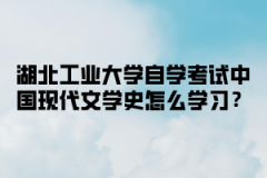 江汉大学自学考试中国现代文学史怎么学习？